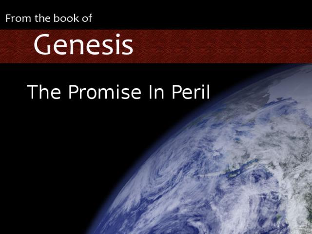 The Promise in Peril graphic